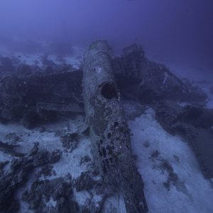 Morotai Wreck Diving - Bristol Beaufort bombers from the Australian Air Force