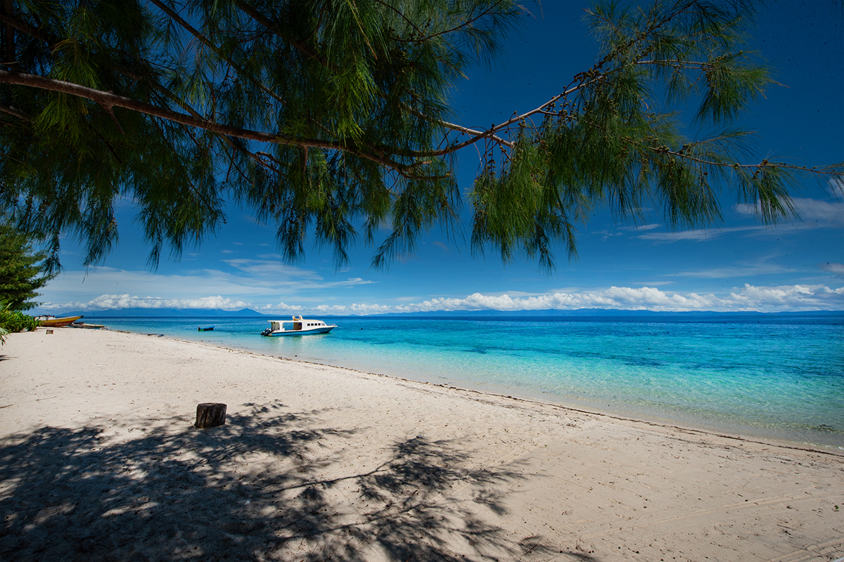 Best Time to Visit Metita Island in Morotai, North Maluku, Indonesia